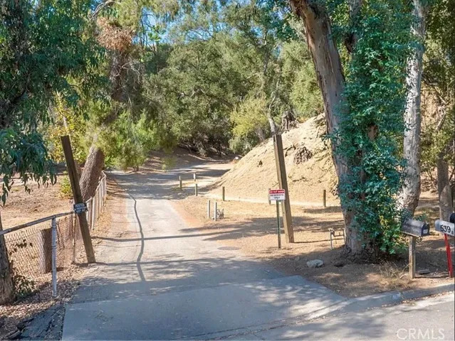 a view of a yard with plants and trees