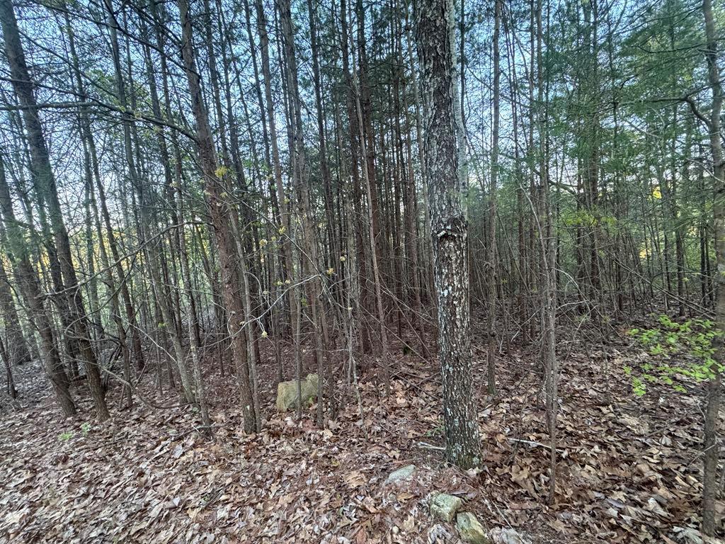 1057 Mayfield Lane Northeast Ranger, GA 30734 - Photo 4 of 29