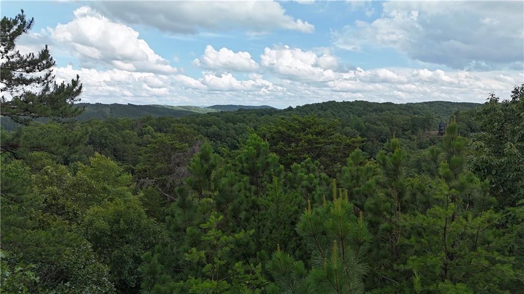 1057 Mayfield Lane Northeast Ranger, GA 30734 - Photo 6 of 29