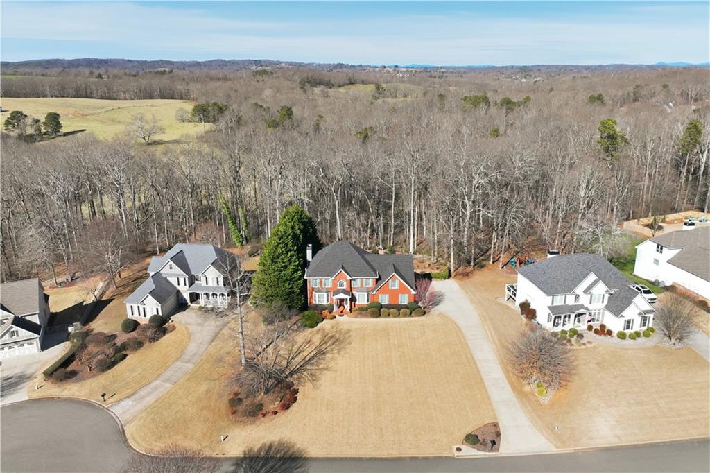 9060 Forest Path Drive Gainesville, GA 30506 - Photo 57 of 61