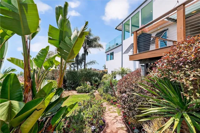 a view of a flower in a garden