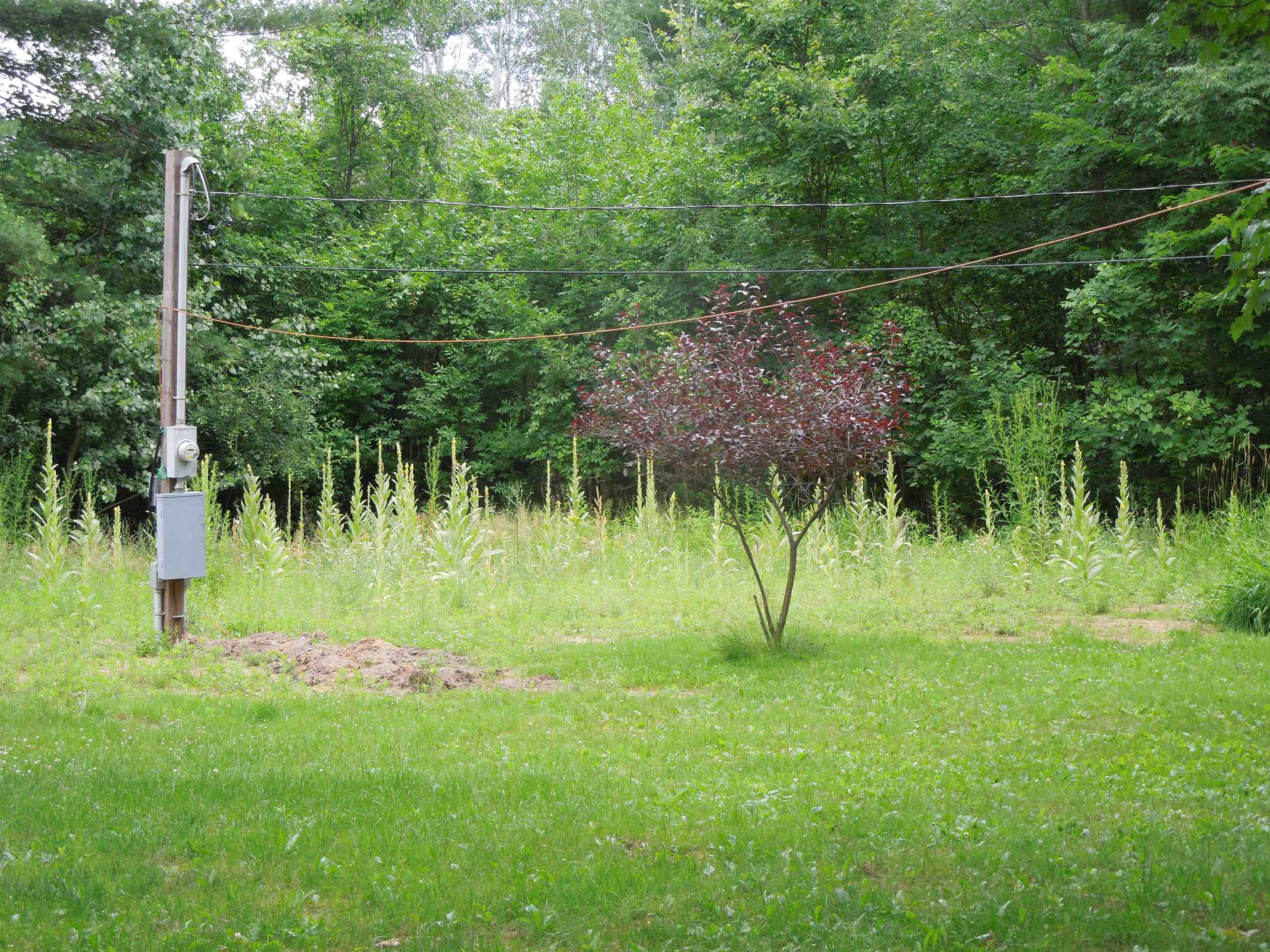 3253 Burgess Road Beaverton, MI 48612 - Photo 14 of 29