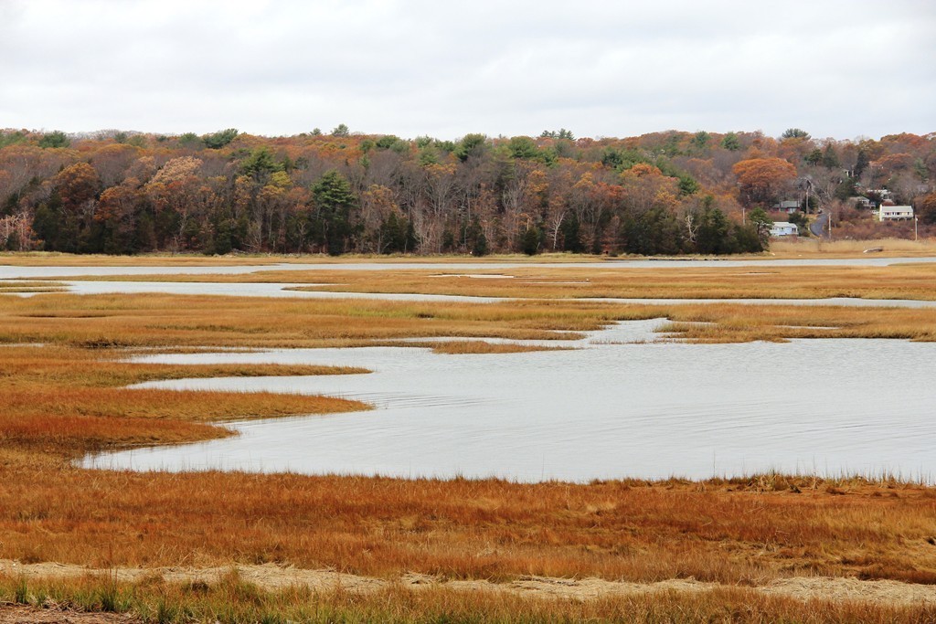 71 Crafts Road Gloucester, MA 01930 - Photo 17 of 23 Gallery Image 17