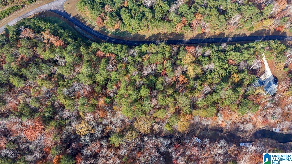 Long Point Road, Unit 58 Double Springs, AL 35553 - Photo 17 of 29