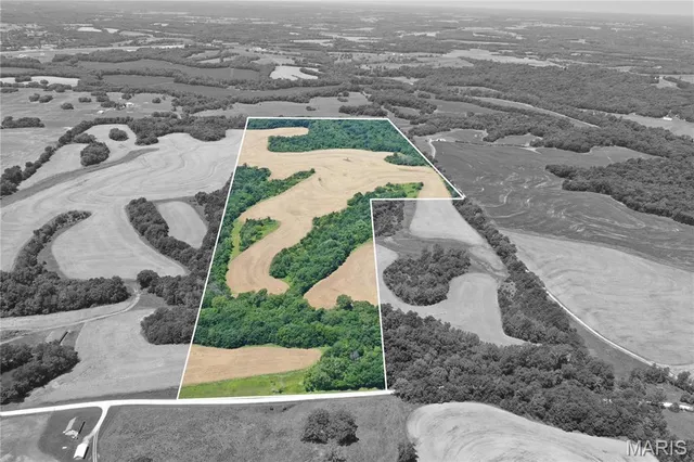 $783,000 | 10790 Pike 107, Frankford, MO 63441