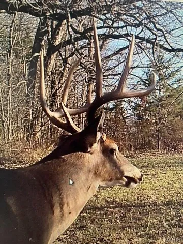 $756,000 | 10790 Pike 107, Frankford, MO 63441