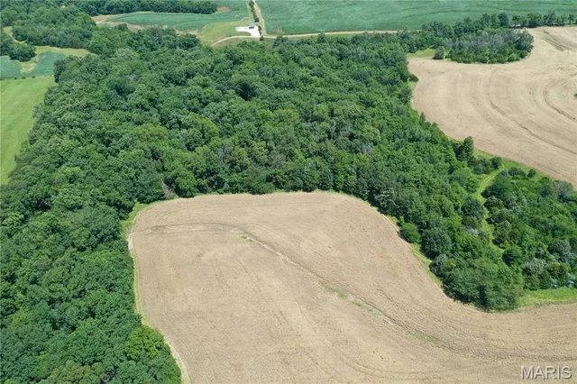 $756,000 | 10790 Pike 107, Frankford, MO 63441