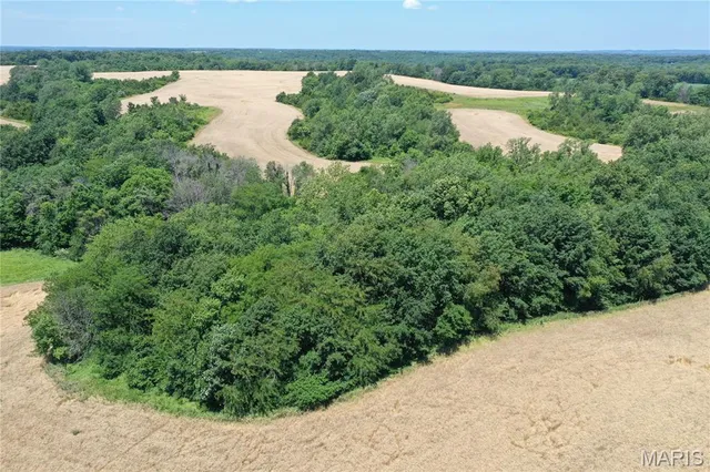 $756,000 | 10790 Pike 107, Frankford, MO 63441