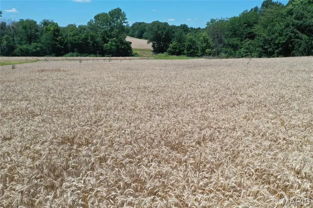 $756,000 | 10790 Pike 107, Frankford, MO 63441