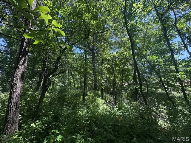 $756,000 | 10790 Pike 107, Frankford, MO 63441