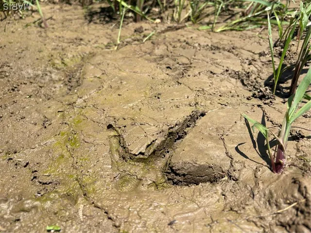 $756,000 | 10790 Pike 107, Frankford, MO 63441