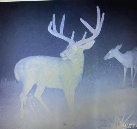 $756,000 | 10790 Pike 107, Frankford, MO 63441