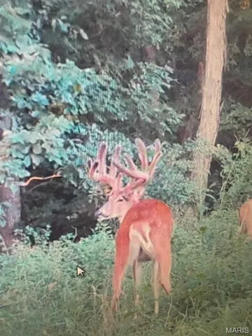 $756,000 | 10790 Pike 107, Frankford, MO 63441