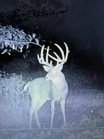 $756,000 | 10790 Pike 107, Frankford, MO 63441