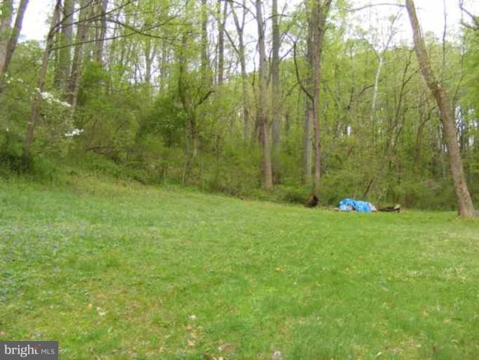 16250 Falls Road Monkton, MD 21111 - Photo 17 of 22 Wooded View / Acreage