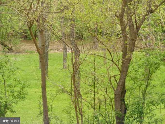 16250 Falls Road Monkton, MD 21111 - Photo 20 of 22 River View