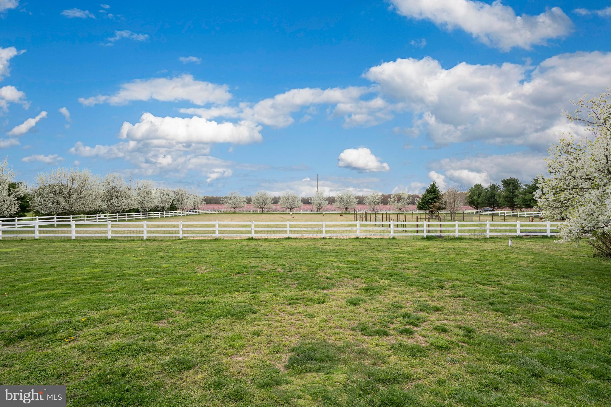 961 Elk Road Monroeville, NJ 08343 - Photo 55 of 66