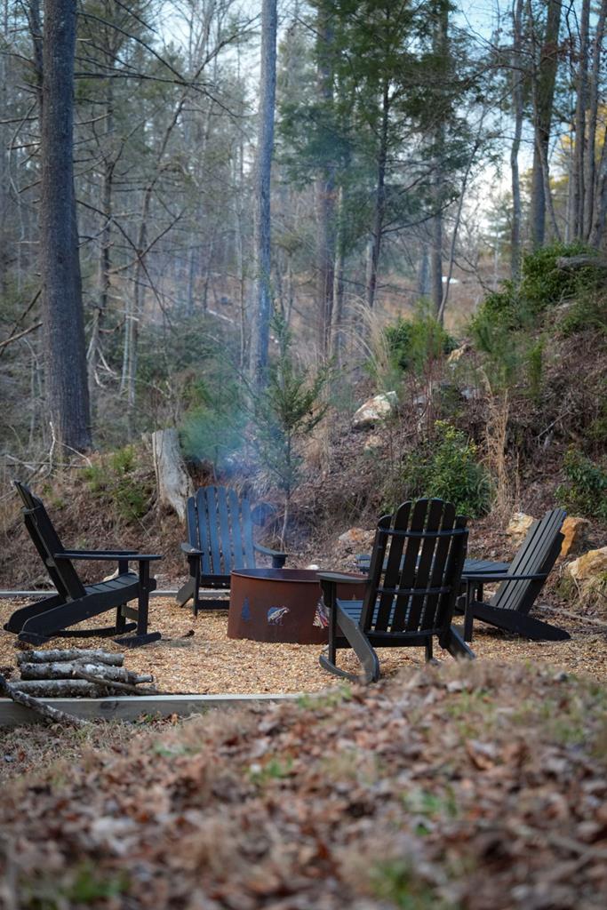 164 Waterdance Trail Blue Ridge, GA 30513 - Photo 16 of 97 a view of backyard with table and chairs a fire pit and potted plants