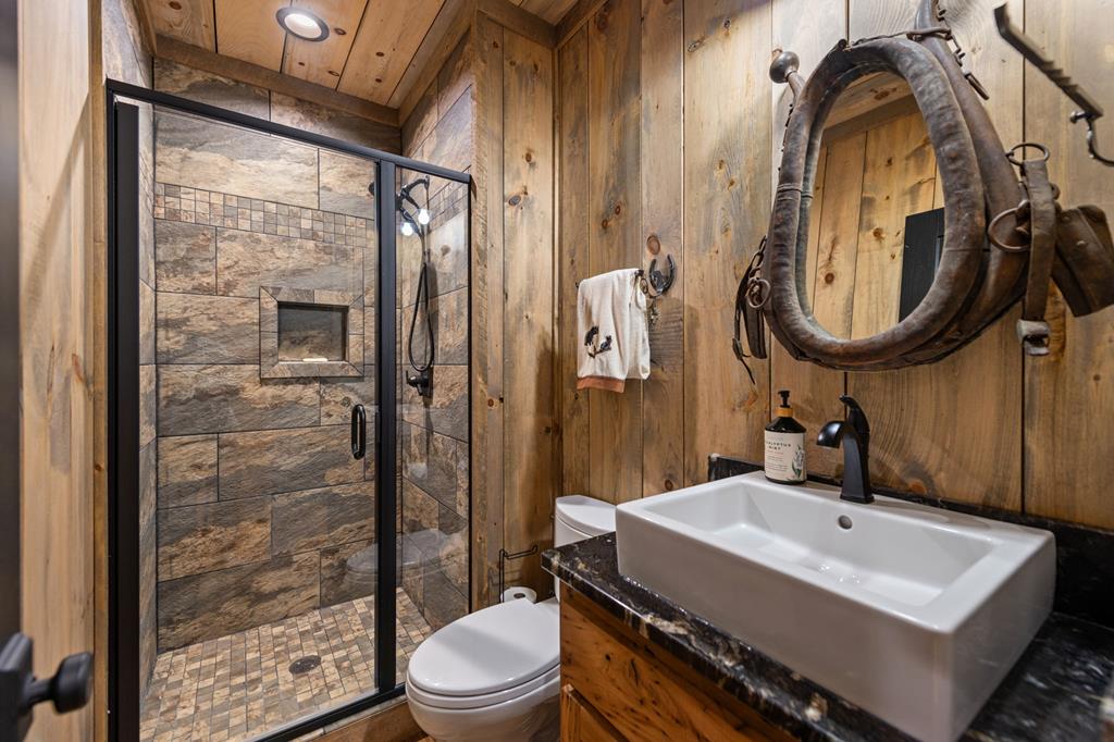 164 Waterdance Trail Blue Ridge, GA 30513 - Photo 61 of 97