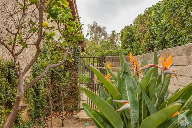 13681 Bear Valley Road Moorpark, CA 93021 - Photo 29 of 33 a view of a yard with plants