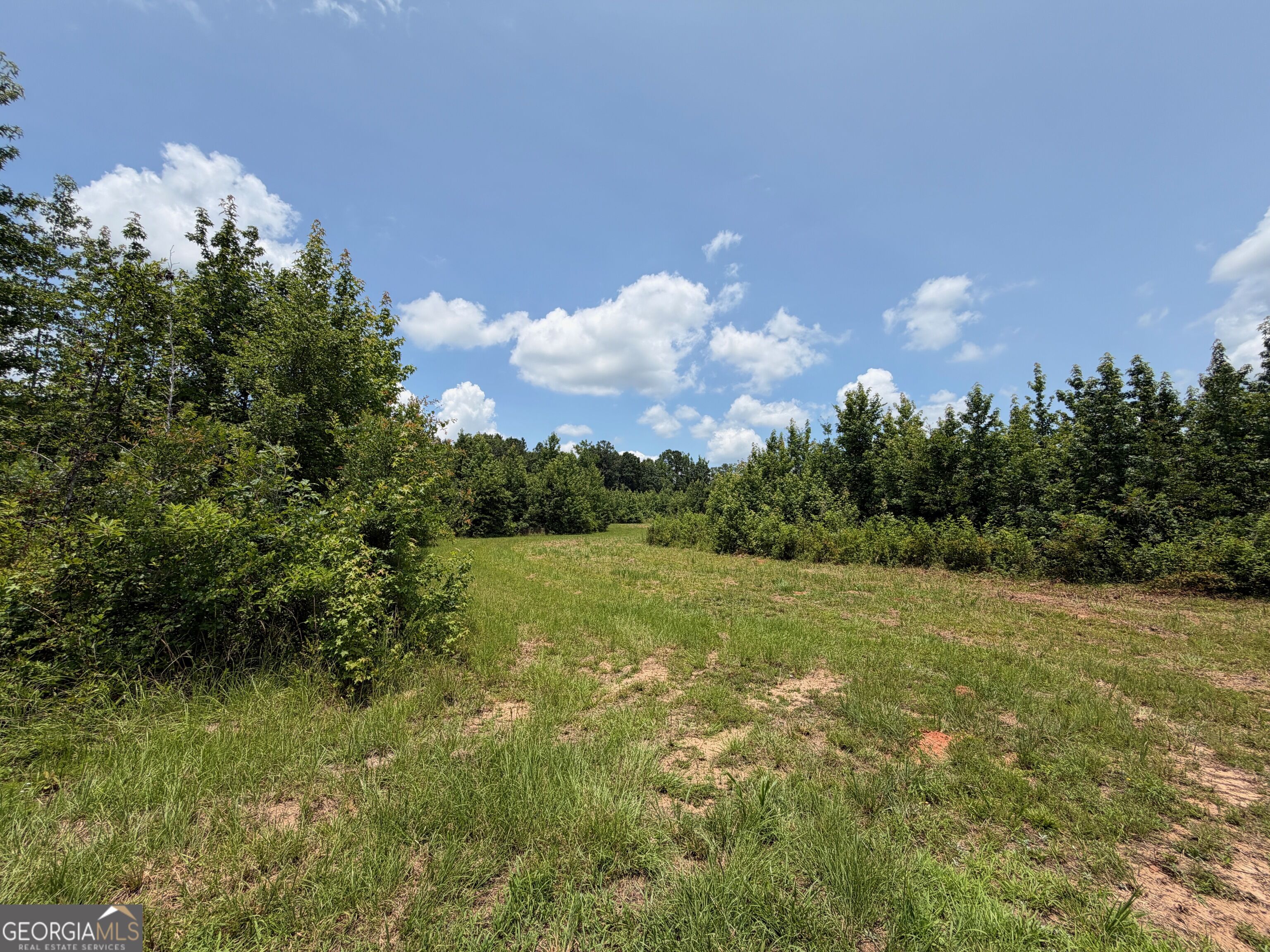 47-acres Cochran Road Madison, GA 30650 - Photo 27 of 38 Gallery Image 27