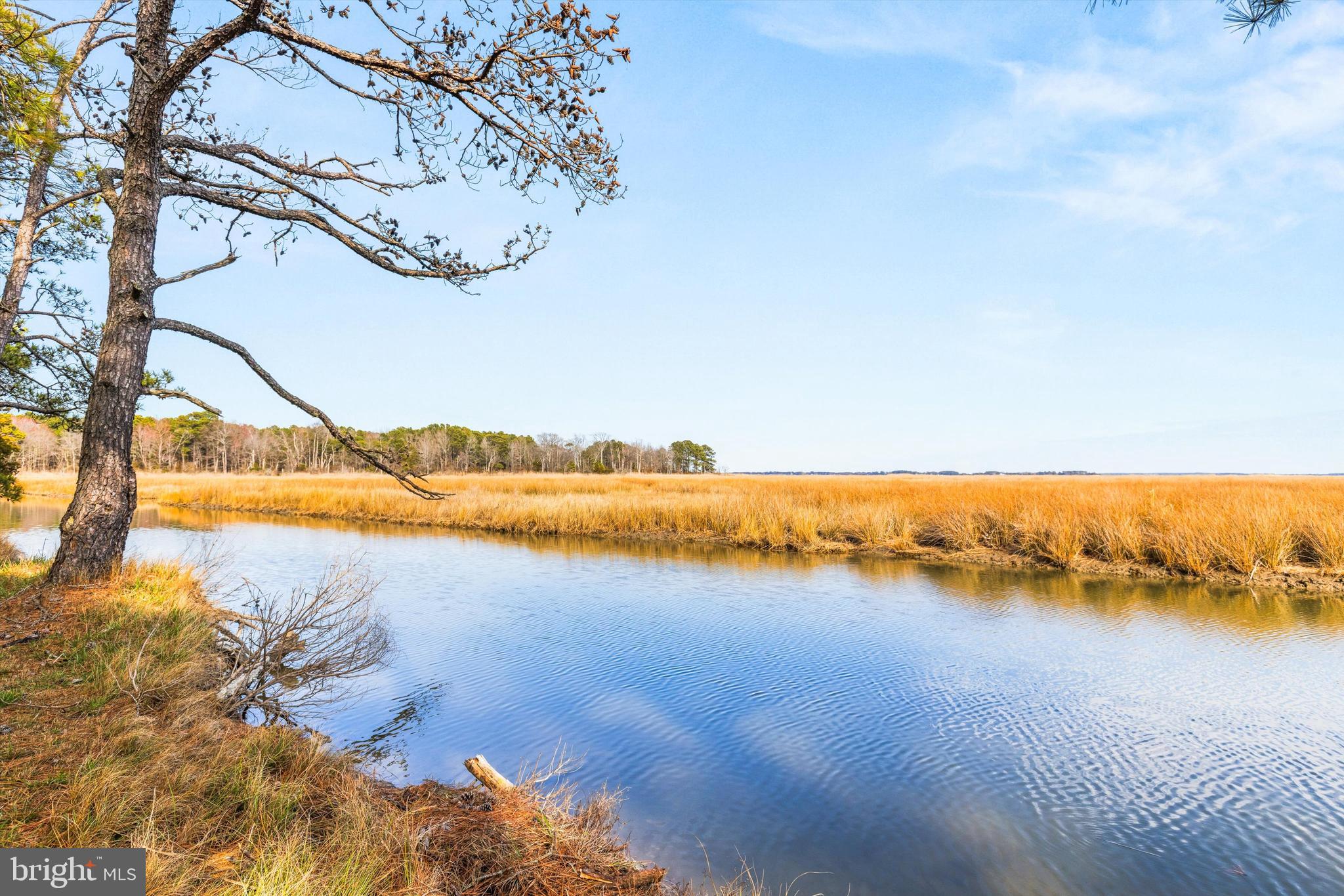 20061 Nanticoke Road Nanticoke, MD 21840 - Photo 57 of 75