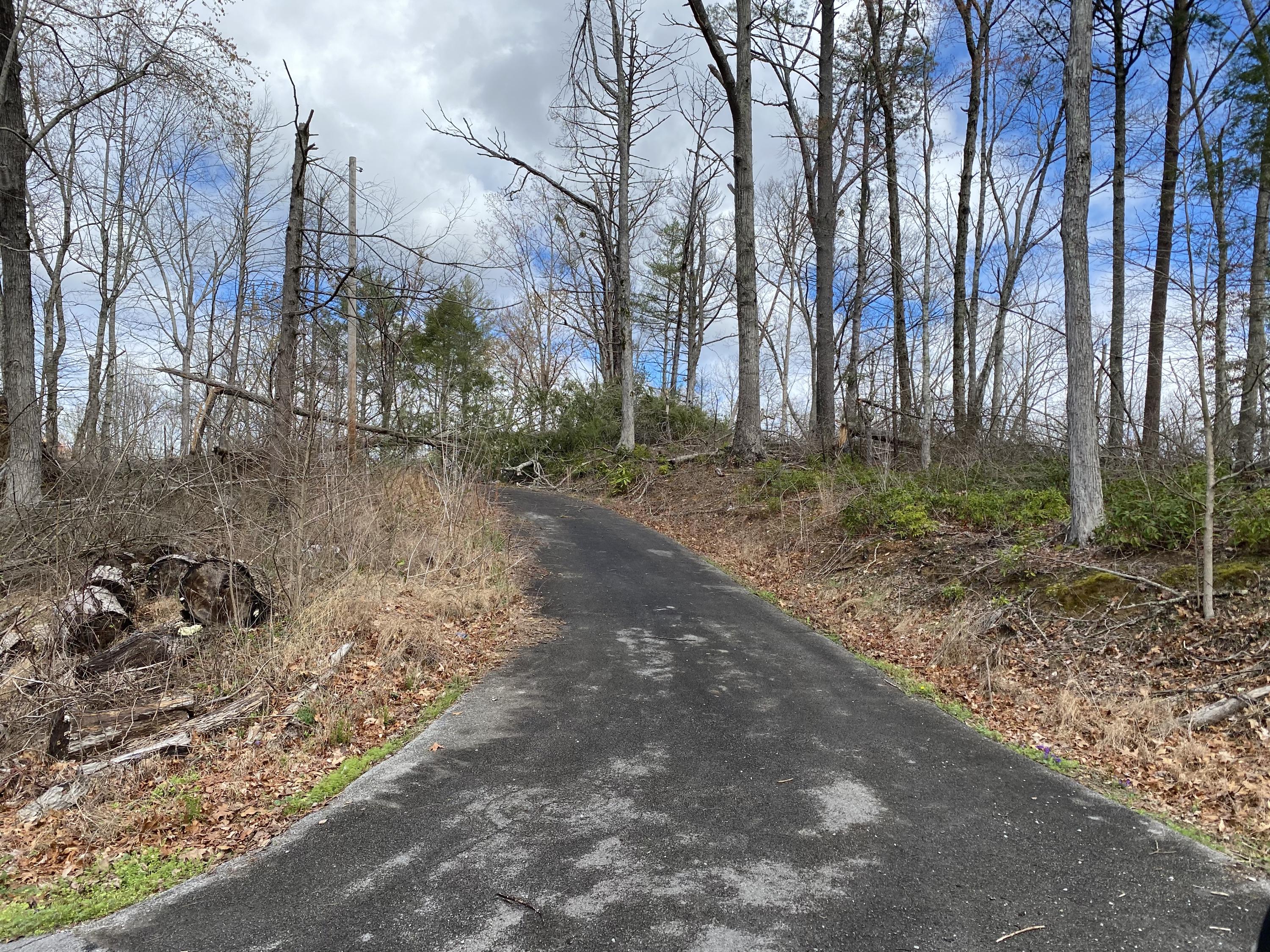 324 Jackson Road Gatlinburg, TN 37738 - Photo 1 of 17 2BC36517-258F-4032-92A0-3ADA64708EE3