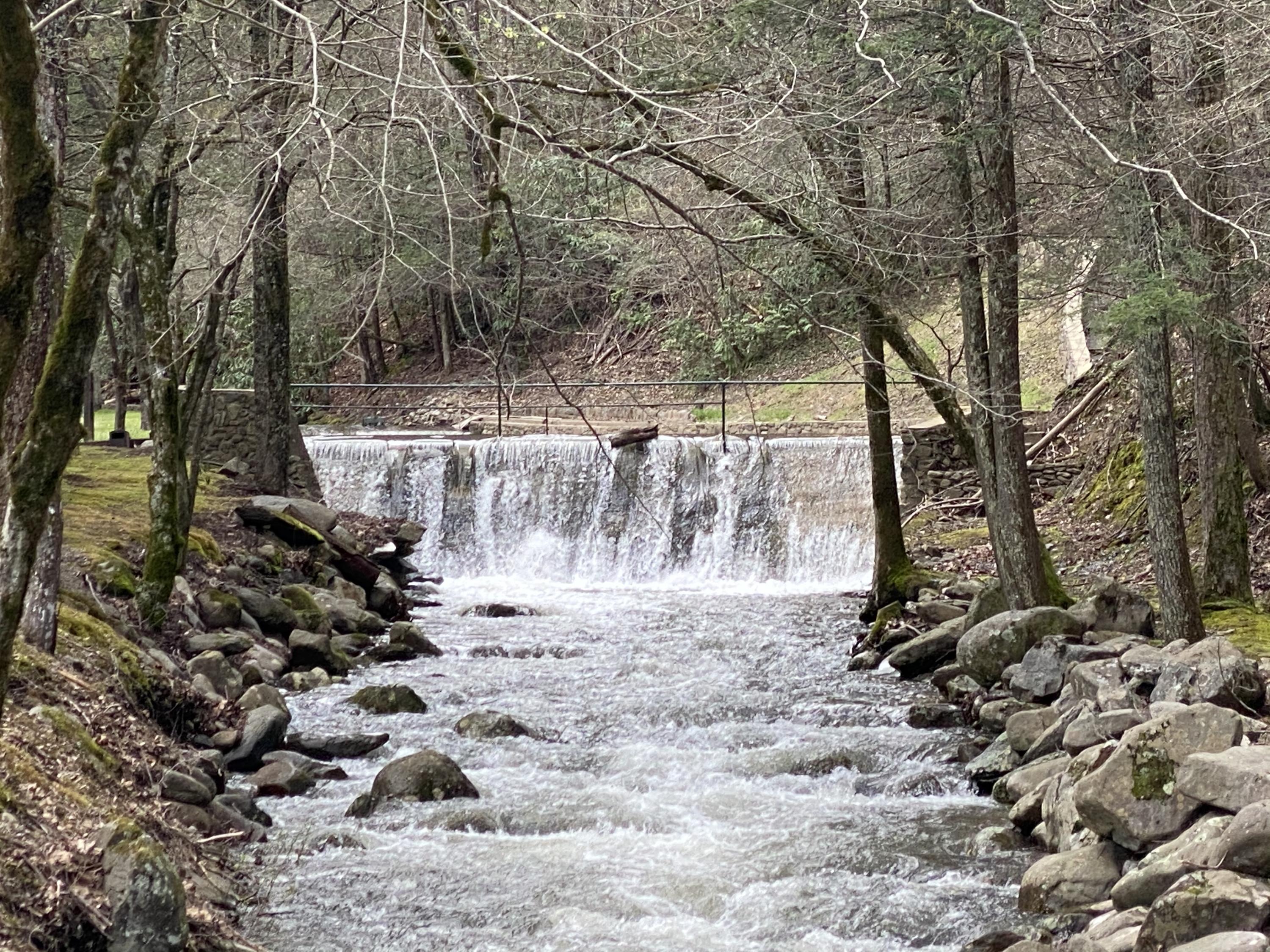 324 Jackson Road Gatlinburg, TN 37738 - Photo 11 of 17 E5DAC5EC-8B0F-49B3-AE5D-4004D67D3501