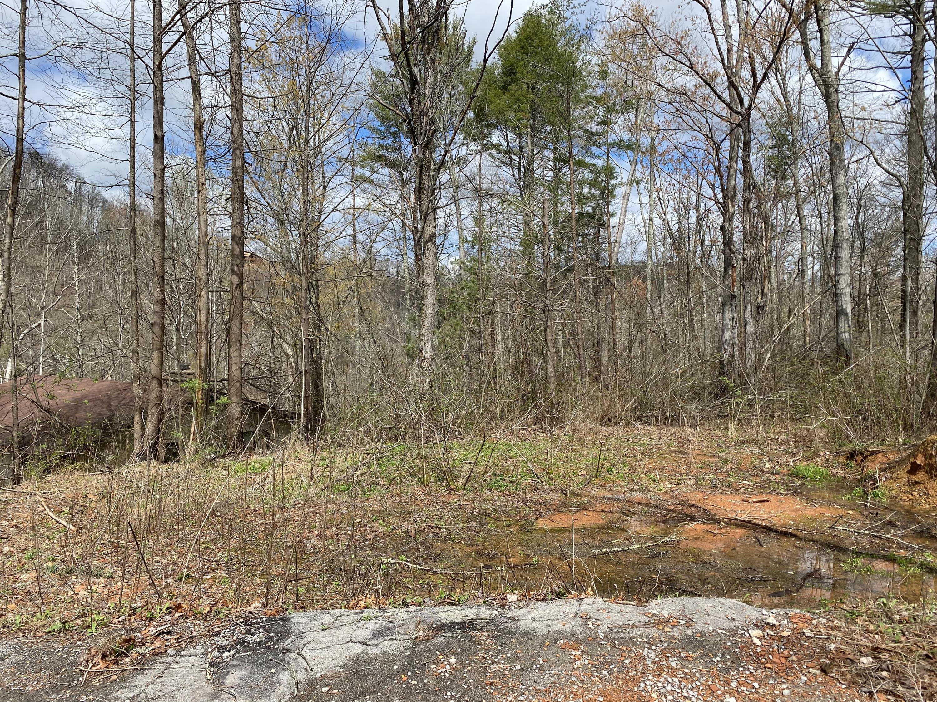 324 Jackson Road Gatlinburg, TN 37738 - Photo 3 of 17 4AA53AB9-5C0C-40C9-B797-686F05C7E28F