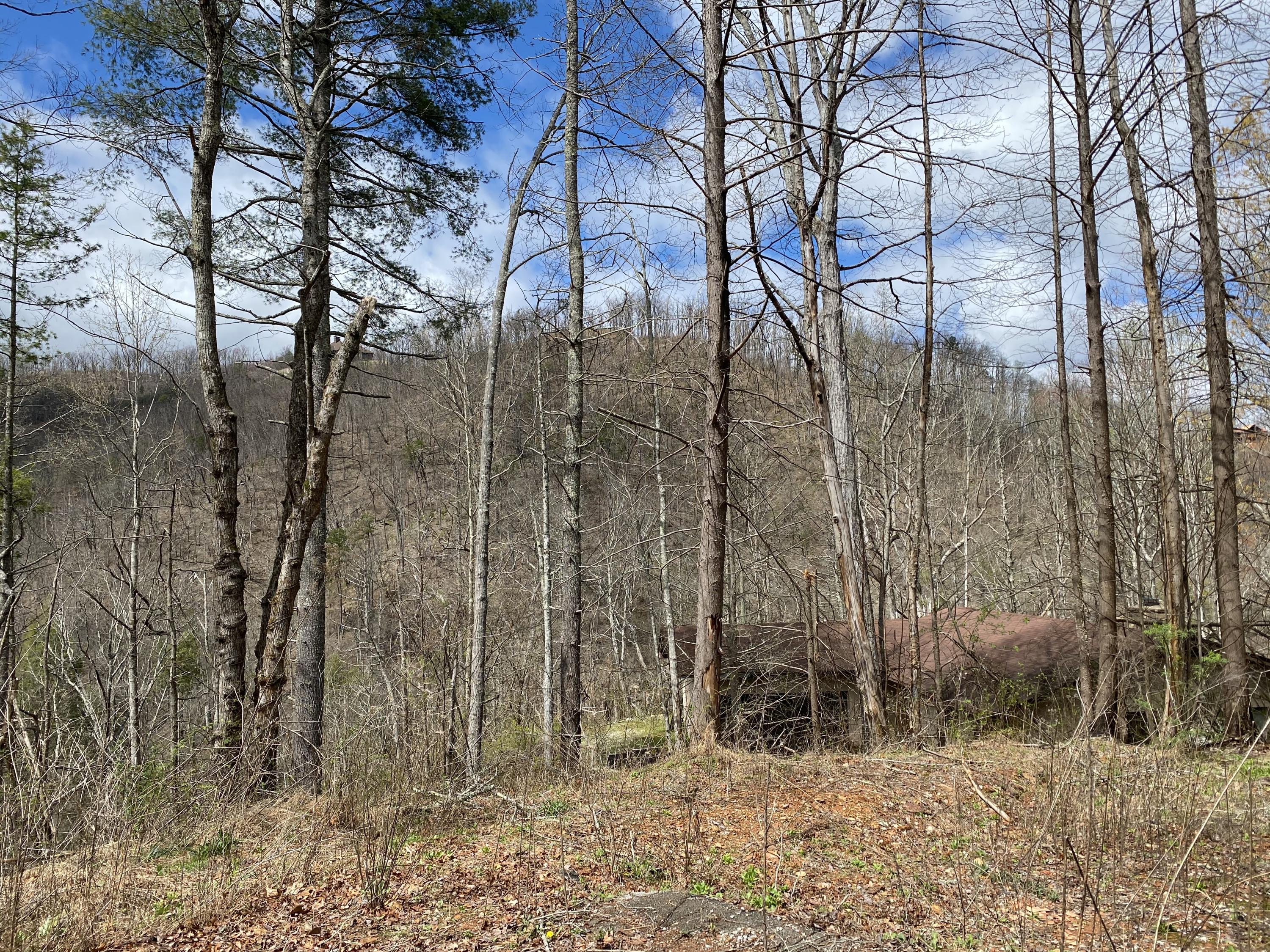 324 Jackson Road Gatlinburg, TN 37738 - Photo 4 of 17 3A381EF0-BC51-4C77-97C5-0915935378FE