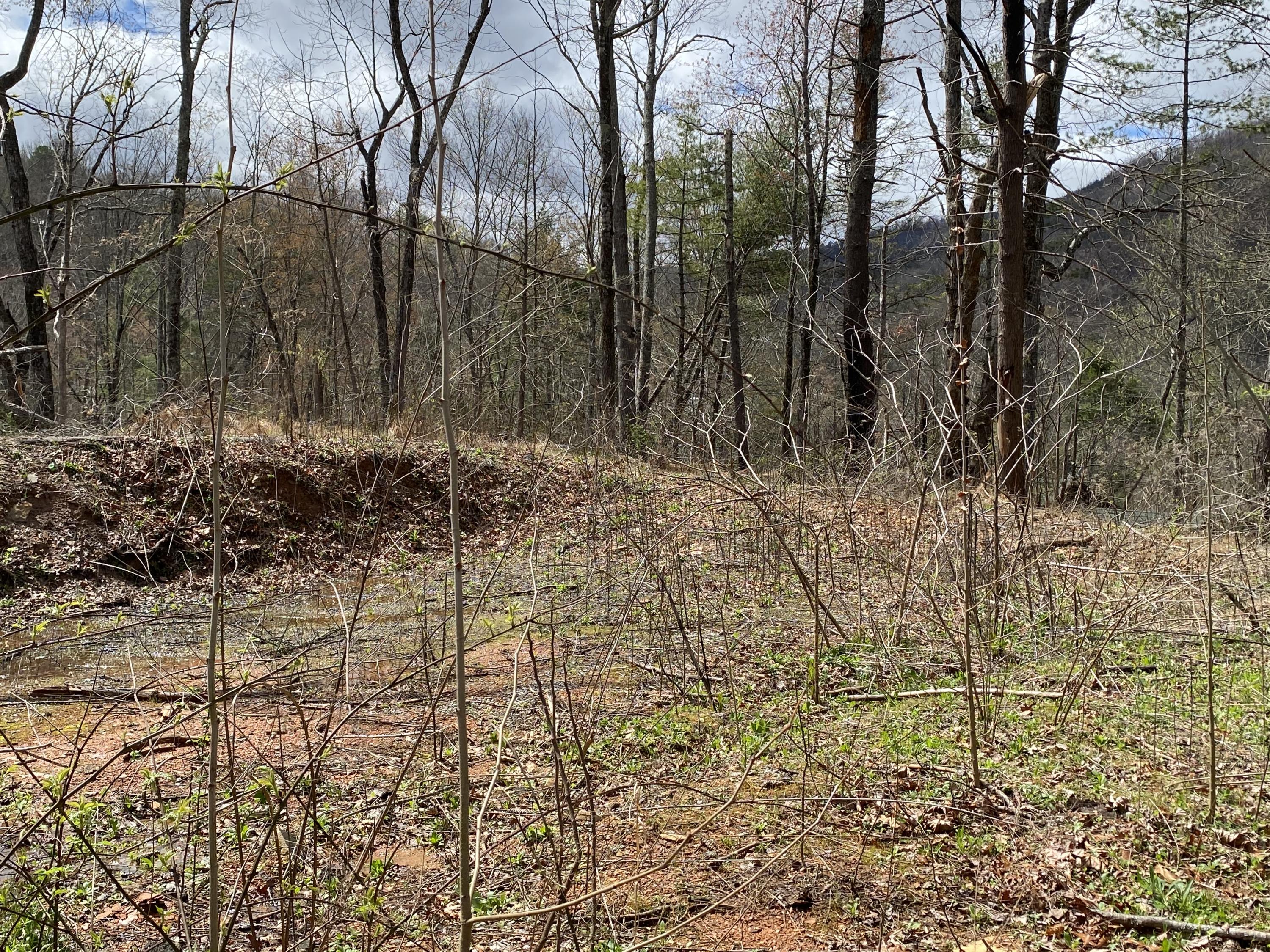 324 Jackson Road Gatlinburg, TN 37738 - Photo 6 of 17 C2A55198-5D5B-4B4F-84BF-6DC0DBF9B085