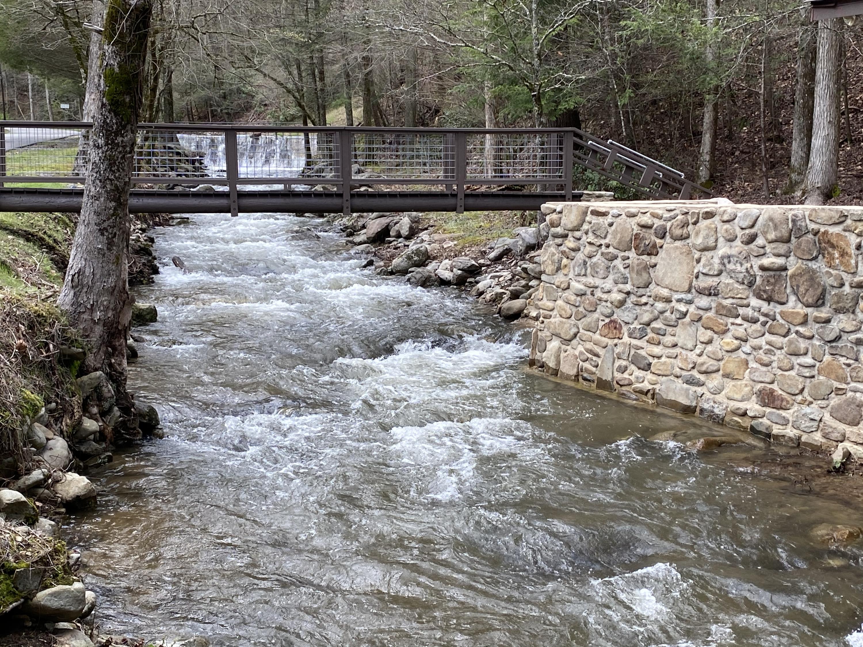 324 Jackson Road Gatlinburg, TN 37738 - Photo 10 of 17 3654009A-665E-40E1-AE95-62DD9B805B51