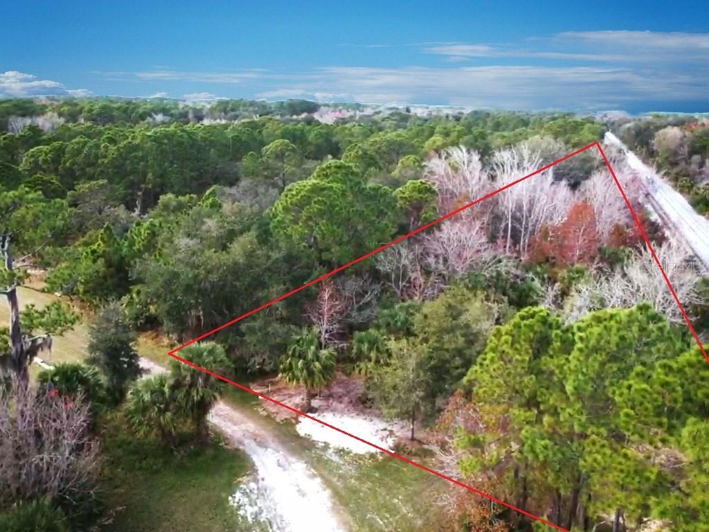 Highlander Drive Edgewater, FL 32141 - Photo 1 of 5