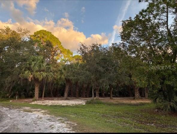 Highlander Drive Edgewater, FL 32141 - Photo 4 of 5