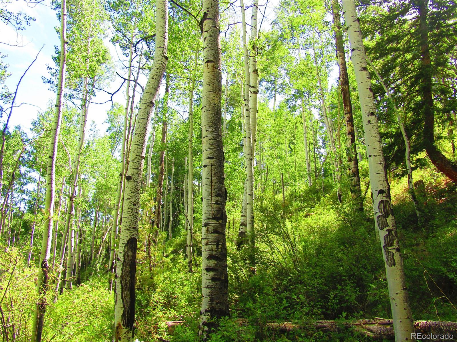 Lot 6295 Malcolm Road San Luis, CO 81152 - Photo 7 of 31