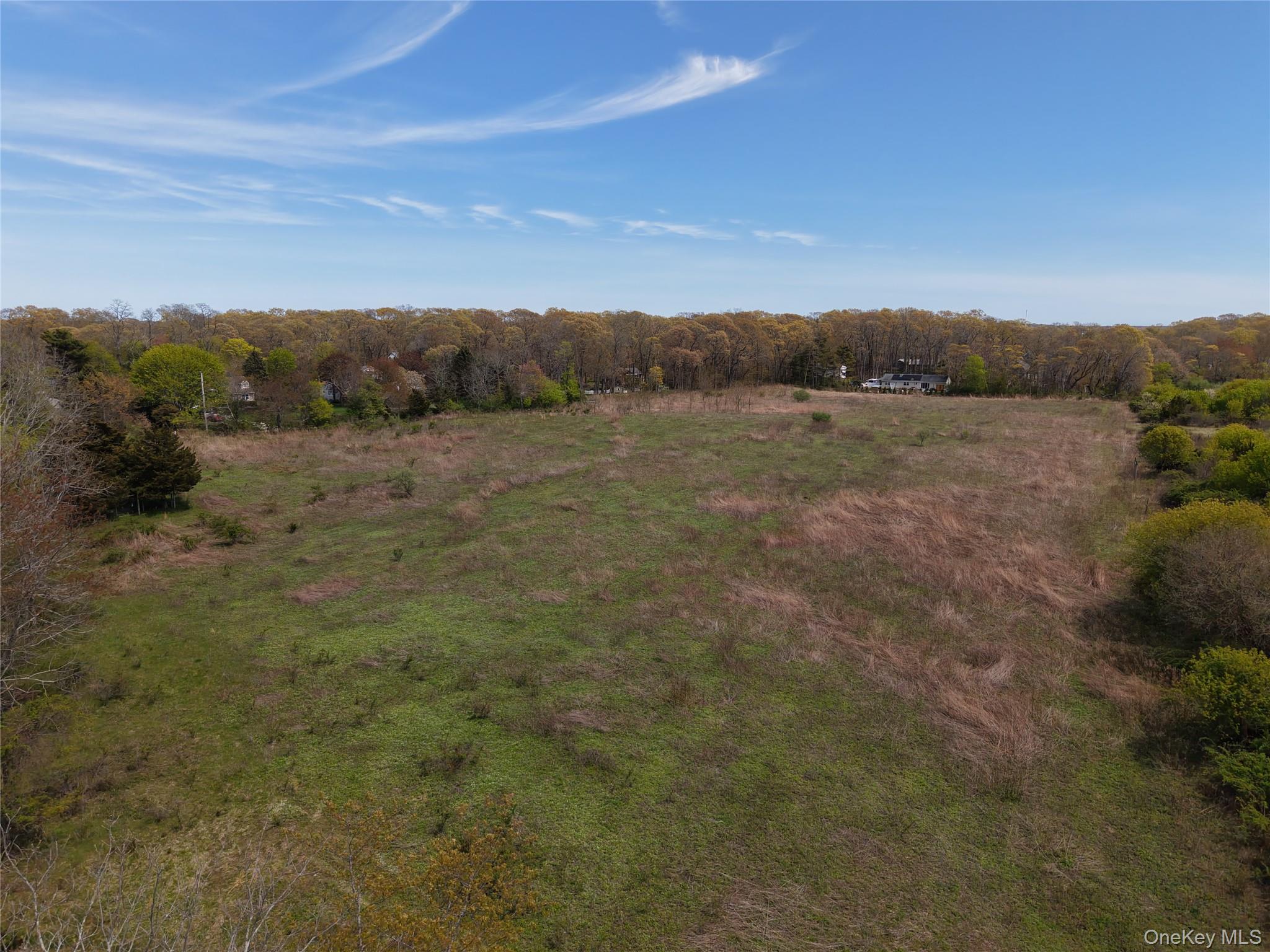 420 Leon Road Southold, NY 11971 - Photo 5 of 6 a view of a field with trees in background