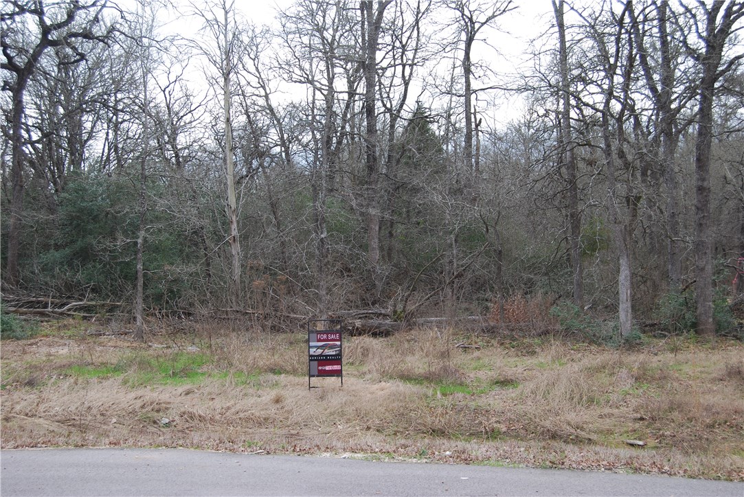 125 Coyote Crossing Elgin, TX 78621 - Photo 1 of 1