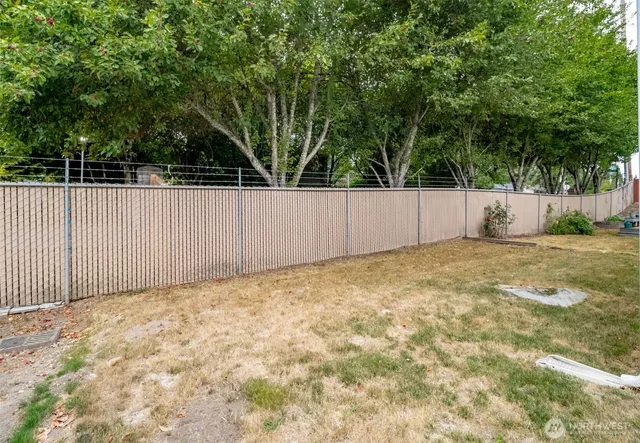 a view of backyard and tree