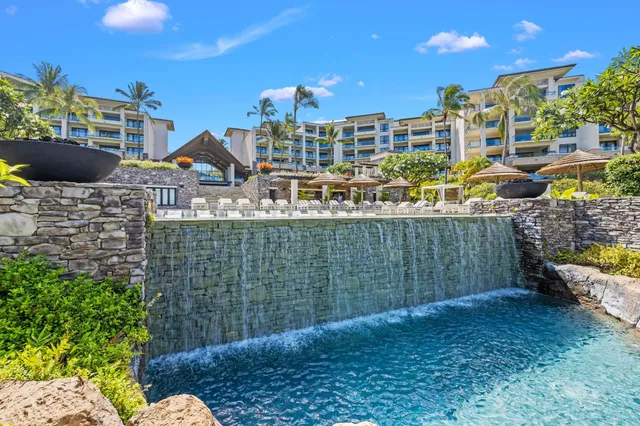 a view of a park with large trees