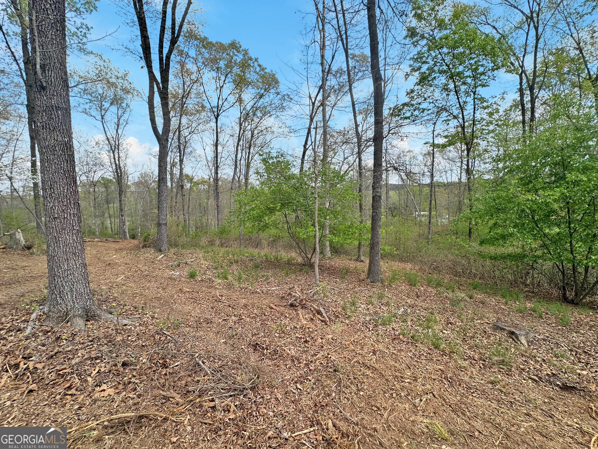 102 Broad River Road, Unit LOT 6 Eastanollee, GA 30538 - Photo 7 of 9 a view of outdoor space and view