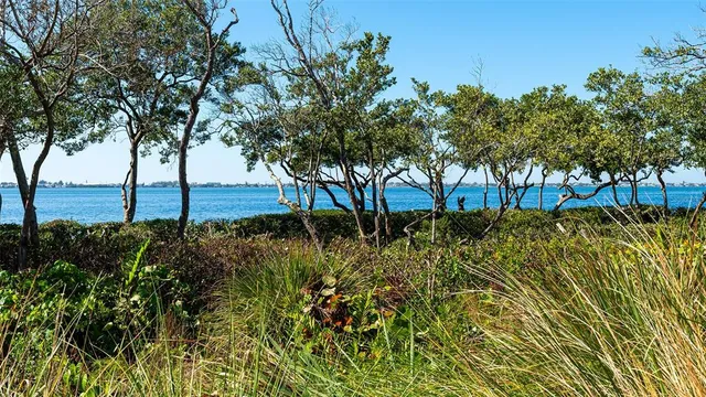 a view of dinning table and chairs in the patio
