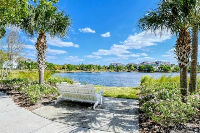 a view of a yard with palm trees