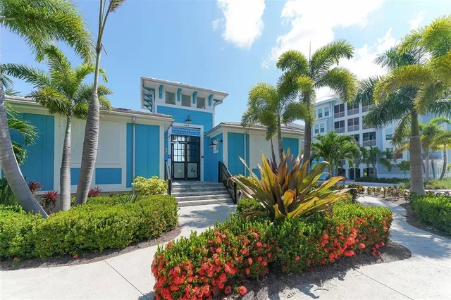 a view of a swimming pool with a garden and plants
