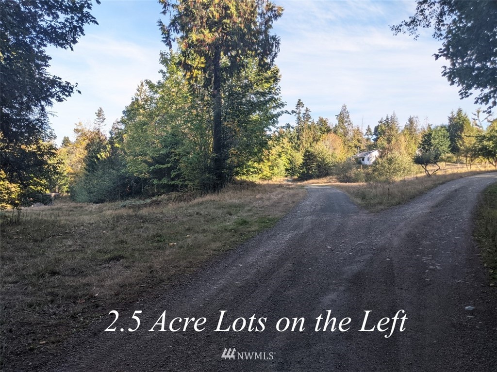 9999 Fors Road, Unit LOT 2 Port Angeles, WA 98363 - Photo 2 of 8 Gallery Image 2