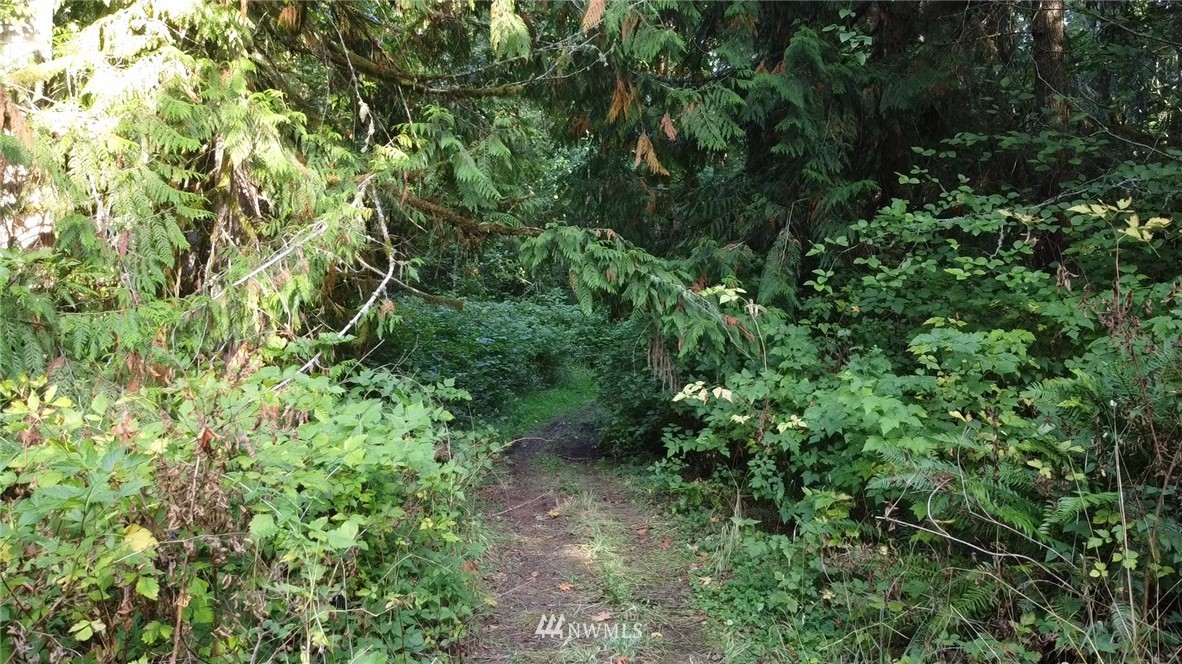 9999 Fors Road, Unit LOT 2 Port Angeles, WA 98363 - Photo 5 of 8 Gallery Image 5