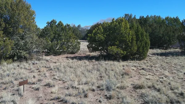 $12,500 | 1 Dr Concho Az 85924 Drive, Concho, AZ 85924