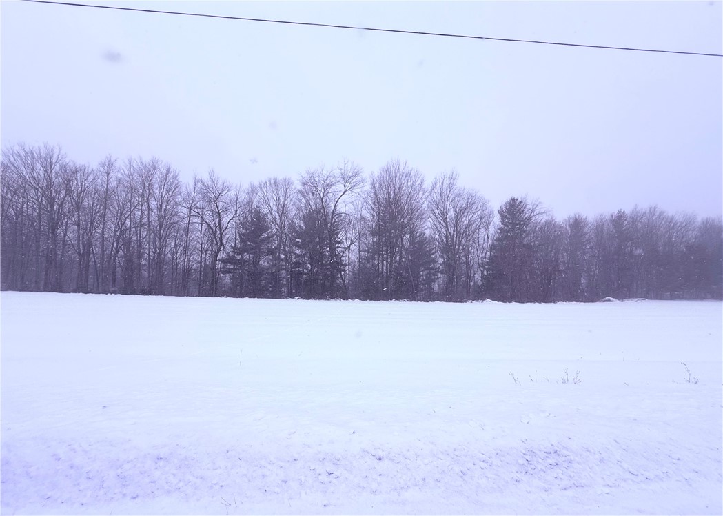 Pennycook Road Hunt, NY 14846 - Photo 3 of 7