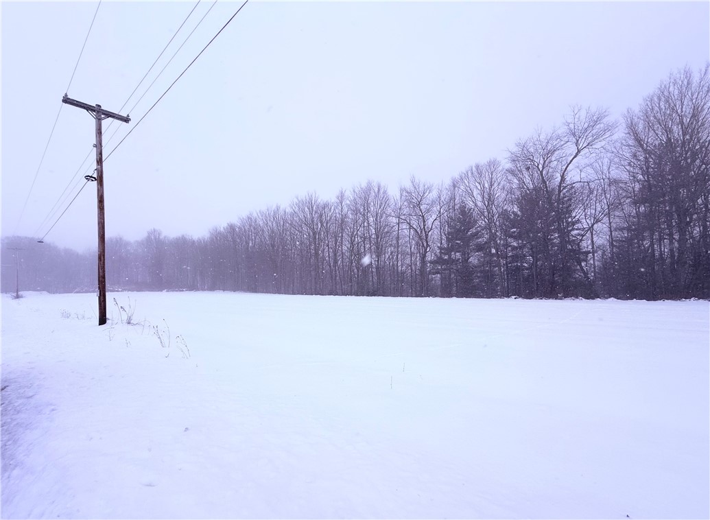 Pennycook Road Hunt, NY 14846 - Photo 4 of 7