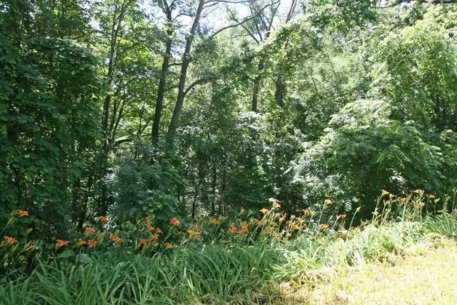 $139,900 | Pennycook Road, Hunt, NY 14846