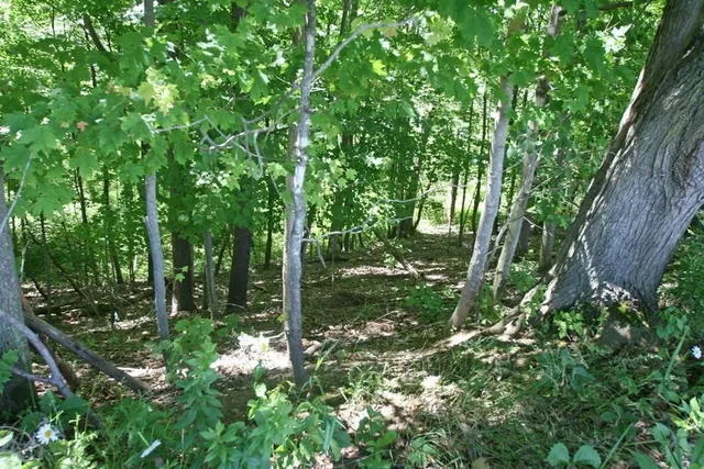 $139,900 | Pennycook Road, Hunt, NY 14846